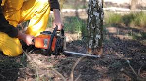 Best Lawn Grading and Leveling  in Gunbarrel, CO